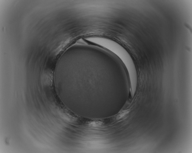 X0000099950168200806061551