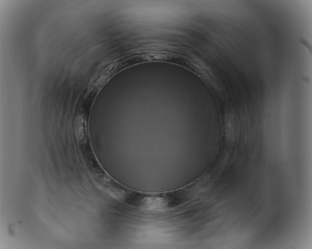 X0000099950169200806061551