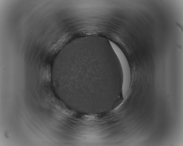 X0000099950170200806061551