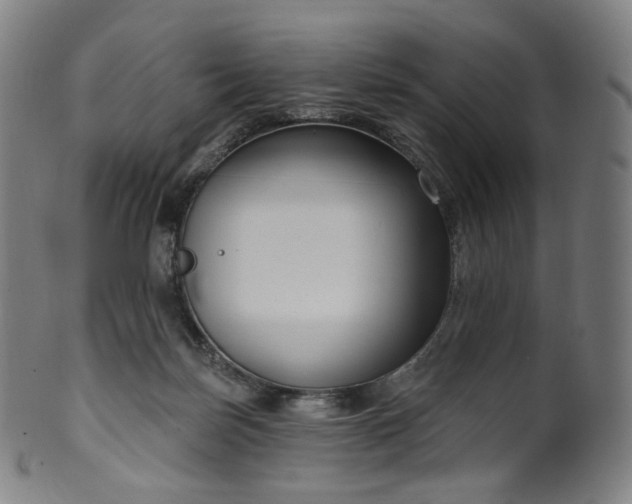 X0000099950171200806061551