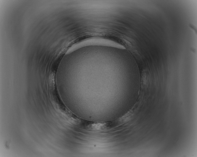 X0000099950172200806061551