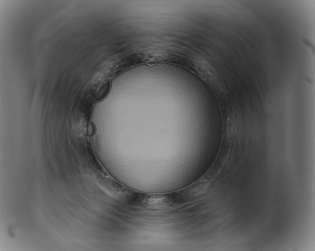 X0000099950173200806061551