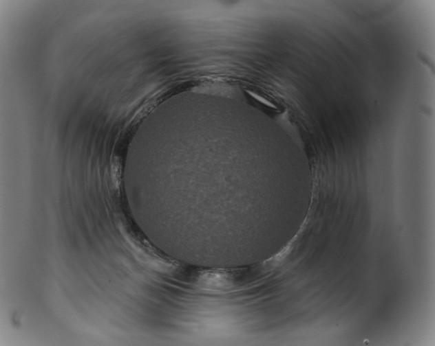 X0000099950174200806061551