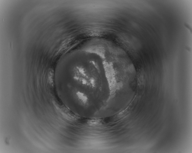 X0000099950175200806061551