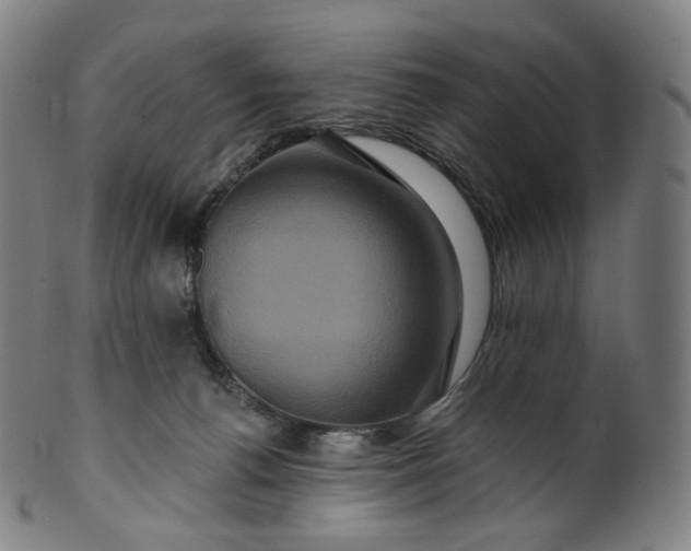 X0000099950176200806061551