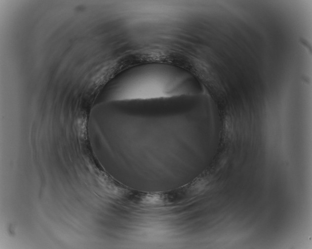 X0000099950177200806061551