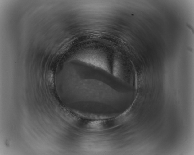 X0000099950178200806061551