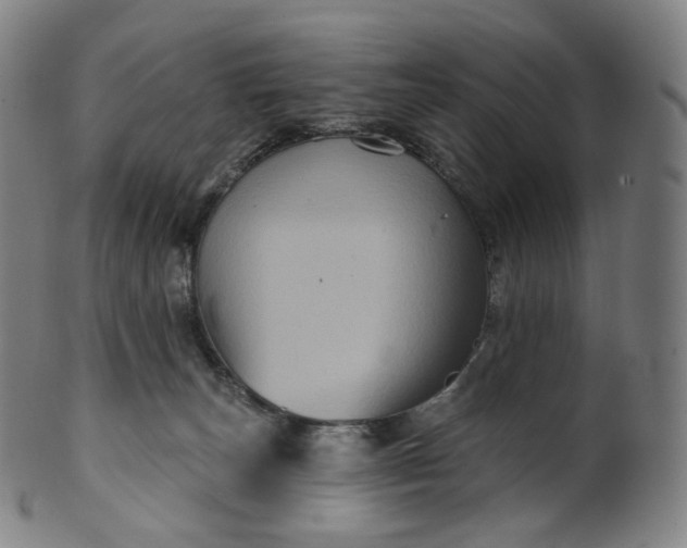 X0000099950179200806061551