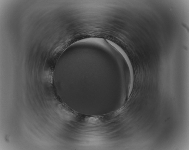 X0000099950180200806061551