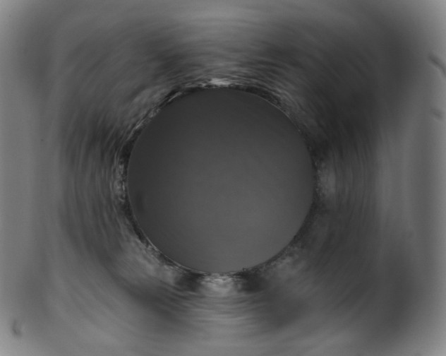 X0000099950181200806061551