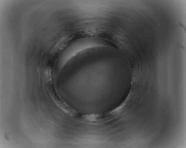 X0000099950182200806061551