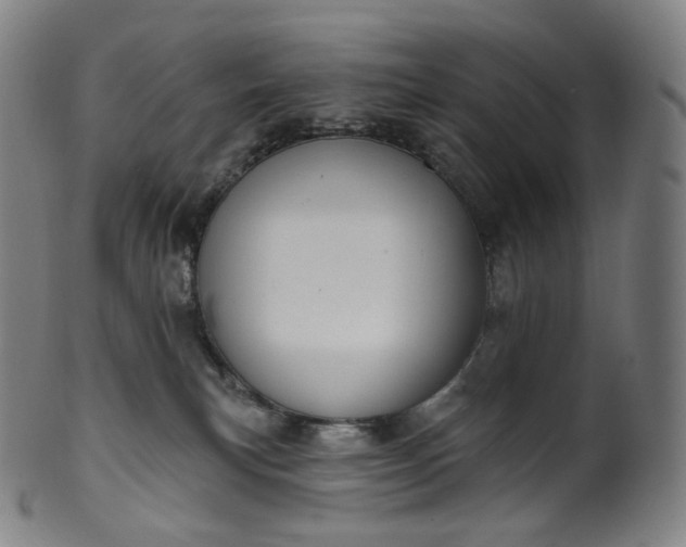 X0000099950183200806061551