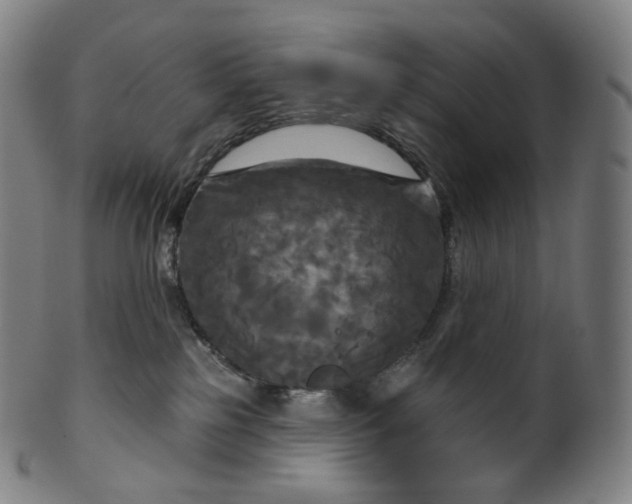 X0000099950185200806061551