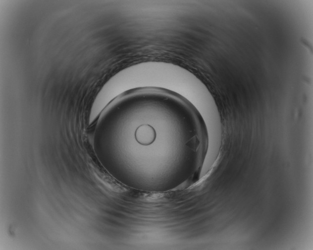 X0000099950186200806061551