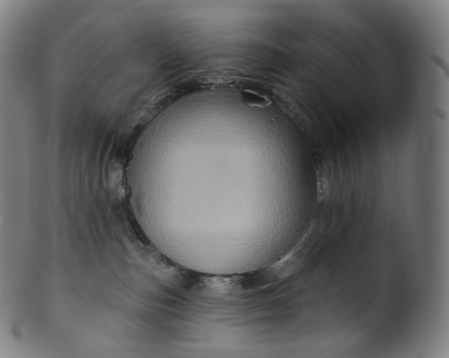 X0000099950187200806061551