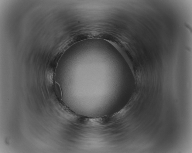 X0000099950188200806061551