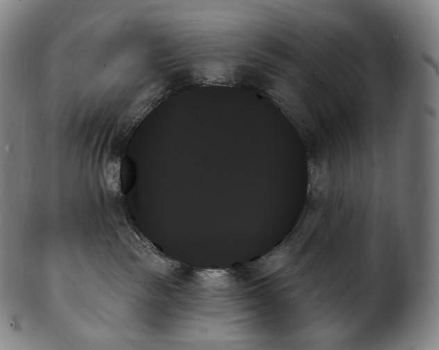 X0000099950189200806061551