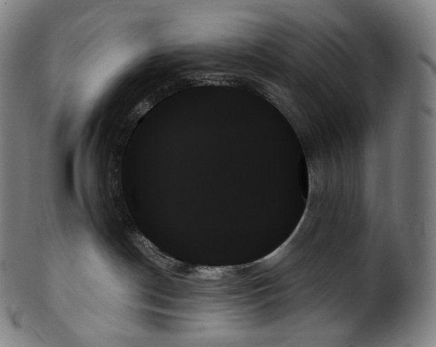 X0000099950190200806061551