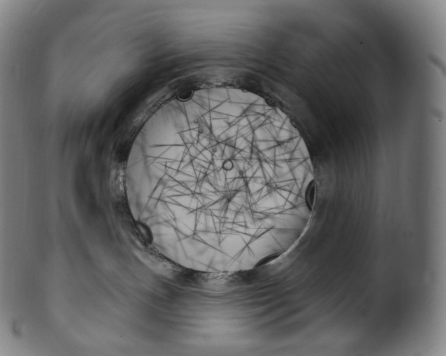 X0000099950191200806061551