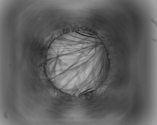 X0000099950192200806061551