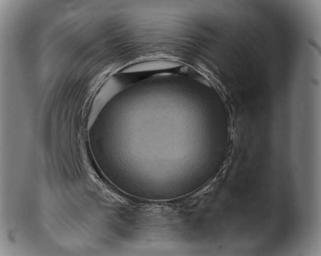 X0000099950193200806061550