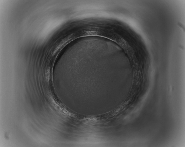 X0000099950194200806061550