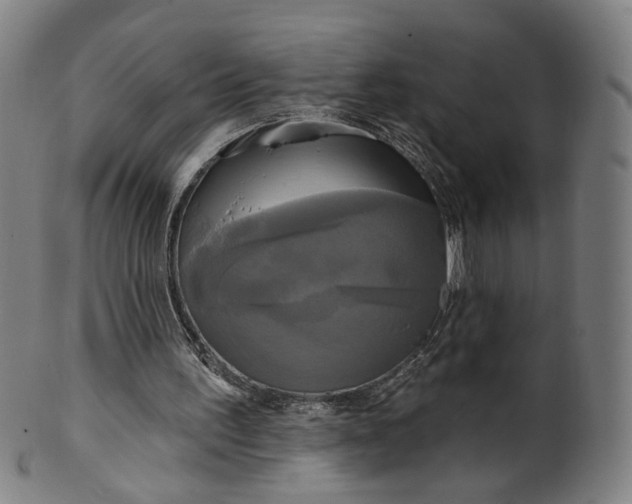 X0000099950195200806061550