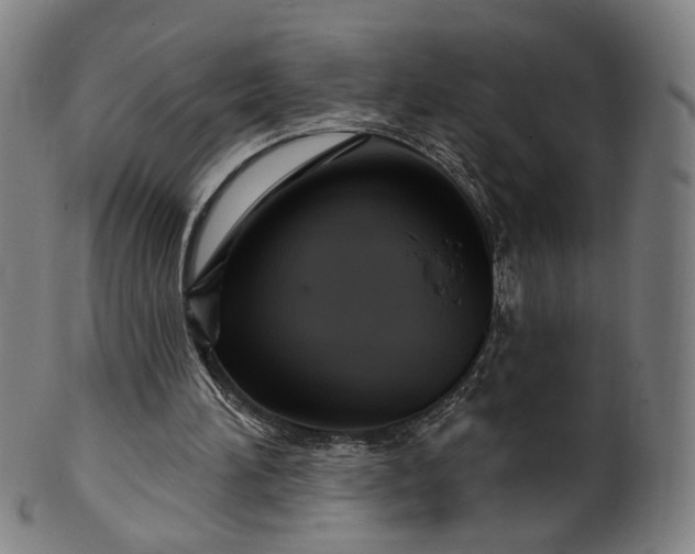 X0000099950196200806061550