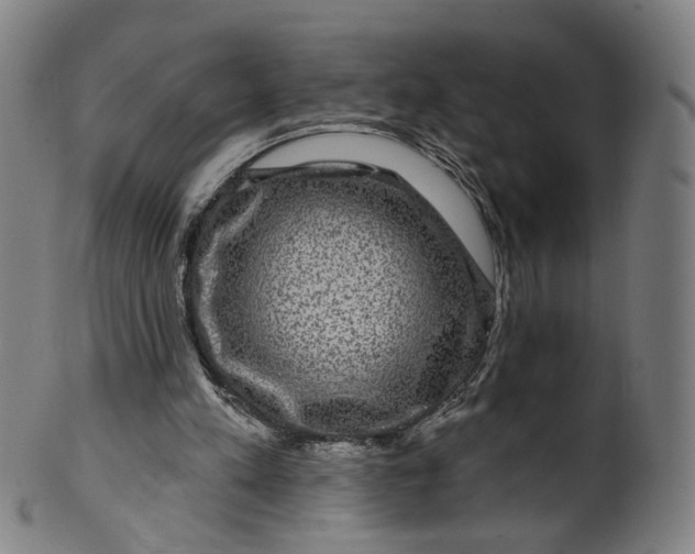 X0000099950197200806061550