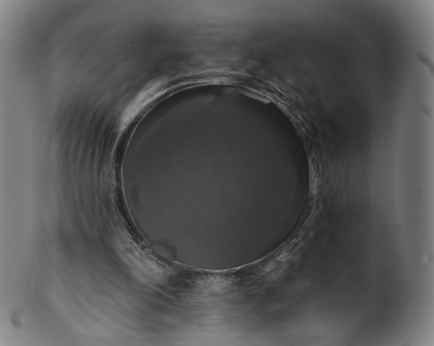 X0000099950198200806061550