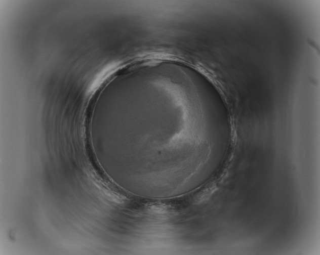 X0000099950199200806061550