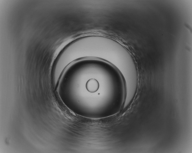 X0000099950200200806061550