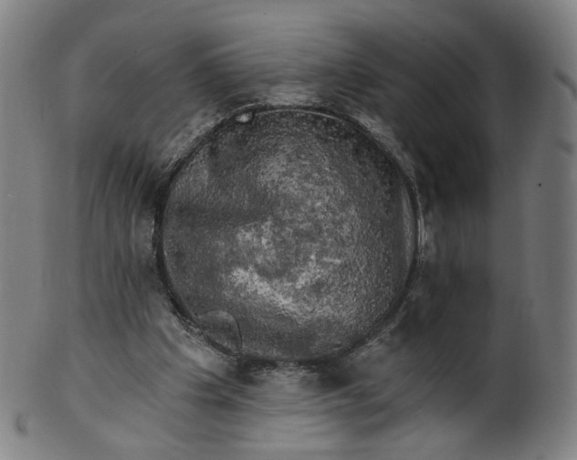 X0000099950201200806061550