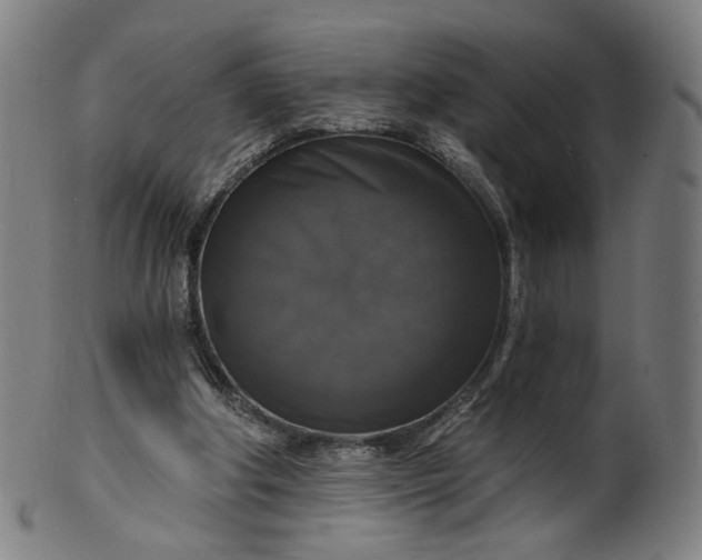 X0000099950202200806061550