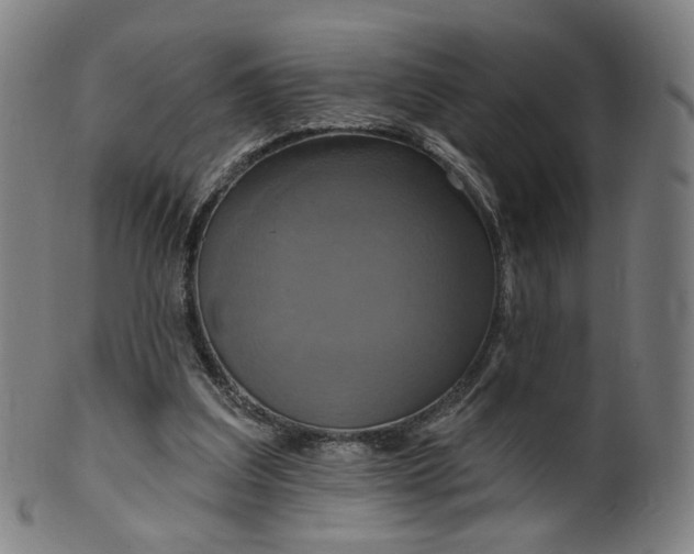 X0000099950203200806061550