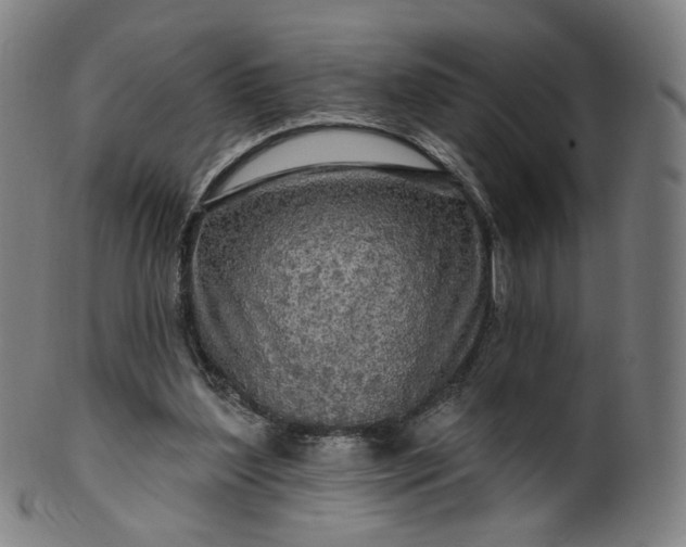 X0000099950204200806061550