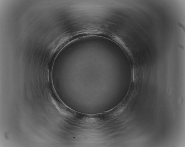 X0000099950205200806061550