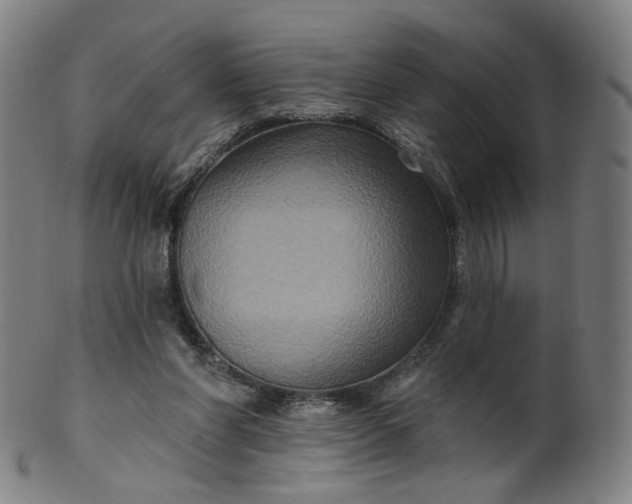 X0000099950206200806061550