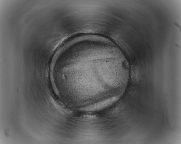 X0000099950208200806061550