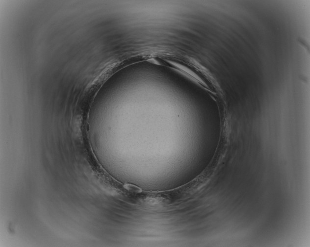 X0000099950209200806061550