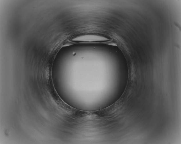 X0000099950210200806061550