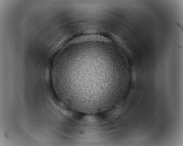 X0000099950211200806061550