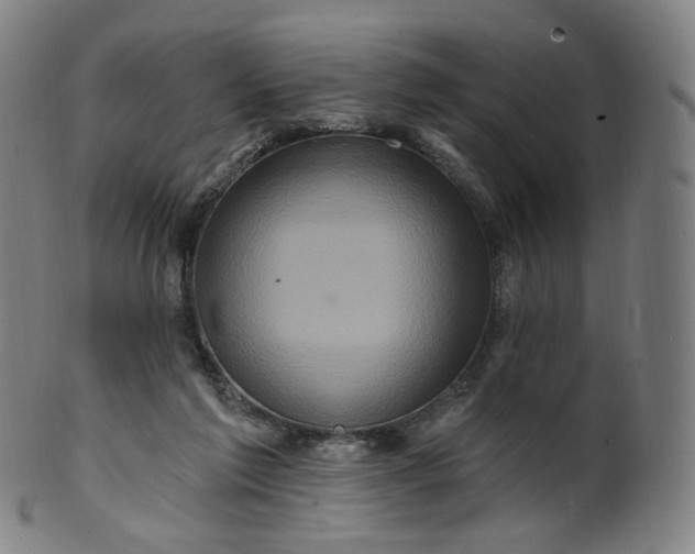 X0000099950213200806061550