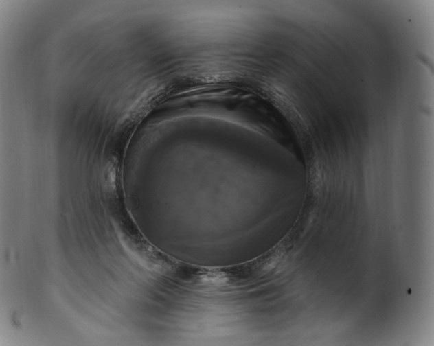 X0000099950214200806061550