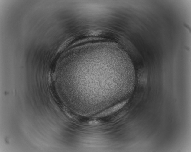 X0000099950216200806061550