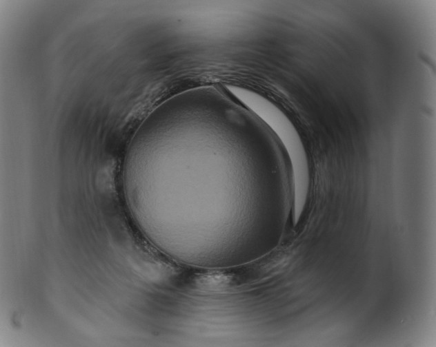 X0000099950217200806061550