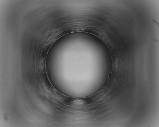 X0000099950218200806061550