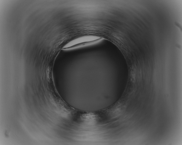 X0000099950219200806061550