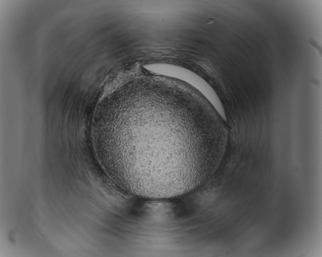 X0000099950221200806061550