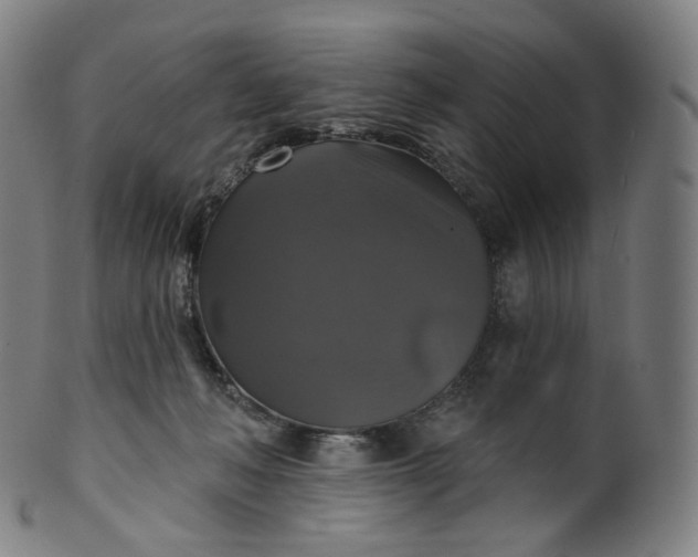 X0000099950222200806061550